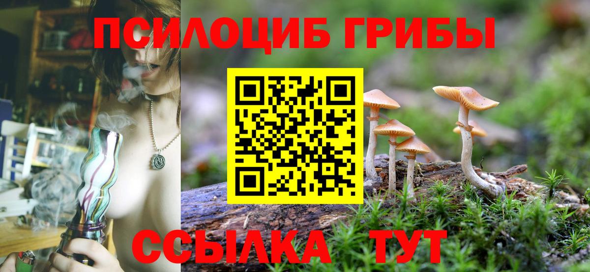 Галлюциногенные грибы Psilocybine cubensis  Вход с VPN  Галлюциногенные грибы Psilocybine cubensis  Урай 